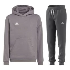 Adidas Entrada 22 Jogginganzug Herren Grau