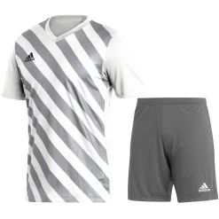 Adidas Entrada 22 Trikotset Kinder Weiß Grau