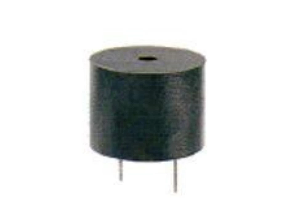 ErvoCom Buzzer 1 ErvoCom Buzzer